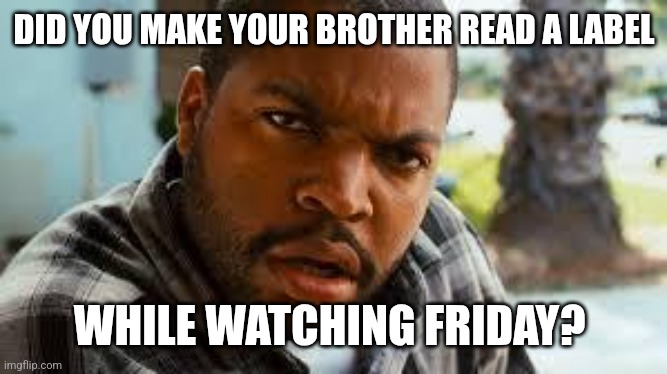 Craig from Friday | DID YOU MAKE YOUR BROTHER READ A LABEL; WHILE WATCHING FRIDAY? | image tagged in craig from friday | made w/ Imgflip meme maker