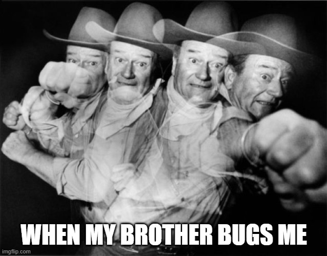 WHEN MY BROTHER BUGS ME | image tagged in punch | made w/ Imgflip meme maker