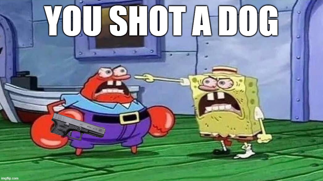 YOU SHOT A DOG | image tagged in spongebob angry | made w/ Imgflip meme maker