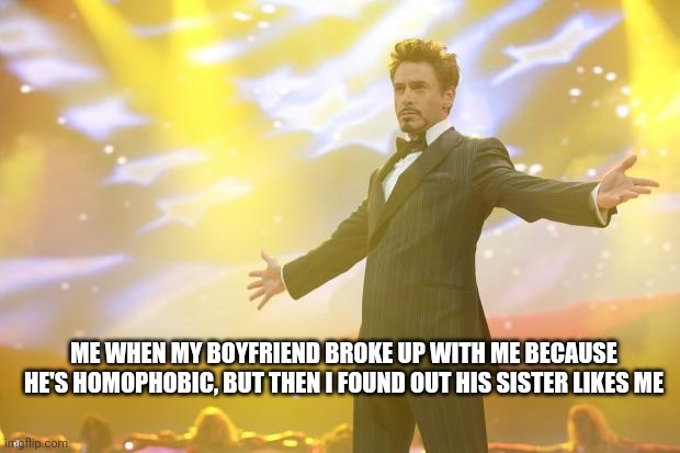 :] | ME WHEN MY BOYFRIEND BROKE UP WITH ME BECAUSE HE'S HOMOPHOBIC, BUT THEN I FOUND OUT HIS SISTER LIKES ME | image tagged in tony stark success,why are you reading the tags,touch grass dont read tags | made w/ Imgflip meme maker