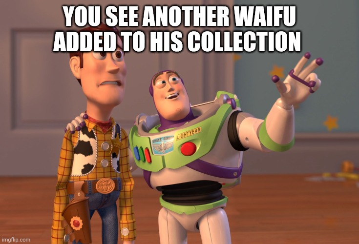 X, X Everywhere Meme | YOU SEE ANOTHER WAIFU ADDED TO HIS COLLECTION | image tagged in memes,x x everywhere | made w/ Imgflip meme maker