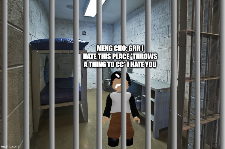 Credits: silverburn, Meng cho is arrested and caught | MENG CHO: GRR I HATE THIS PLACE *THROWS A THING TO CC* I HATE YOU | image tagged in arrest | made w/ Imgflip meme maker