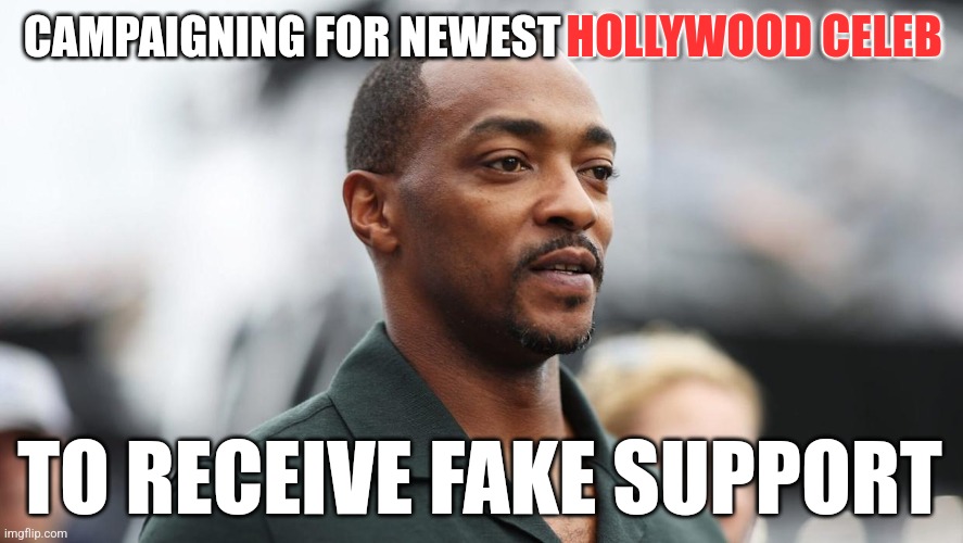 Lol | HOLLYWOOD CELEB; CAMPAIGNING FOR NEWEST HOLLYWOOD CELEB; TO RECEIVE FAKE SUPPORT | image tagged in fake,reichwing,humor | made w/ Imgflip meme maker