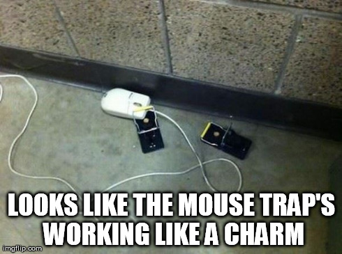 mouse trap | LOOKS LIKE THE MOUSE TRAP'S WORKING LIKE A CHARM | image tagged in mouse,trap,mouse trap,computer,working,electronics | made w/ Imgflip meme maker