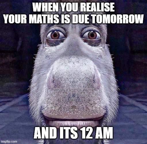 Donkey | WHEN YOU REALISE YOUR MATHS IS DUE TOMORROW; AND ITS 12 AM | image tagged in donkey | made w/ Imgflip meme maker