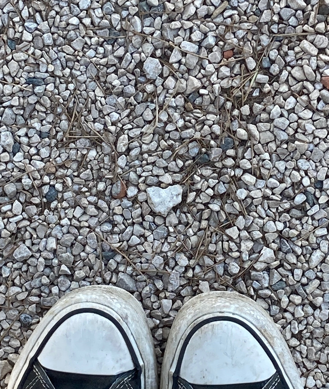 Rocks and Blank Meme Template