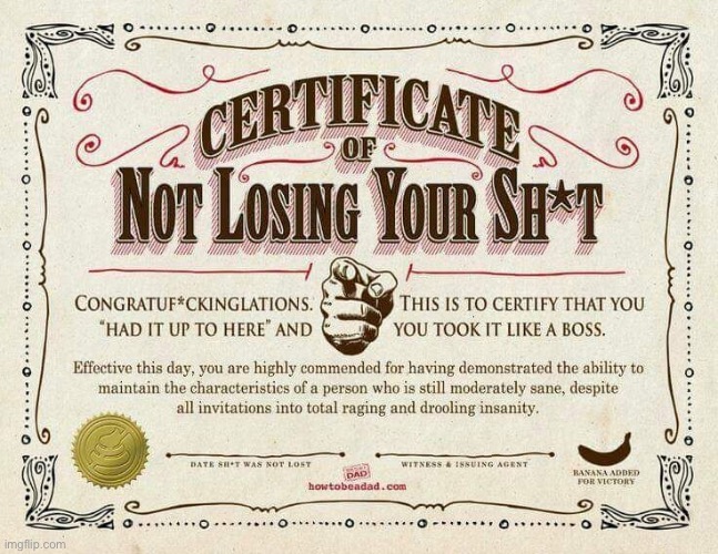 Who would you give ts to | image tagged in certificate of not losing your shit | made w/ Imgflip meme maker