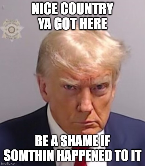 Donald Trump Mugshot | NICE COUNTRY YA GOT HERE; BE A SHAME IF SOMTHIN HAPPENED TO IT | image tagged in donald trump mugshot | made w/ Imgflip meme maker