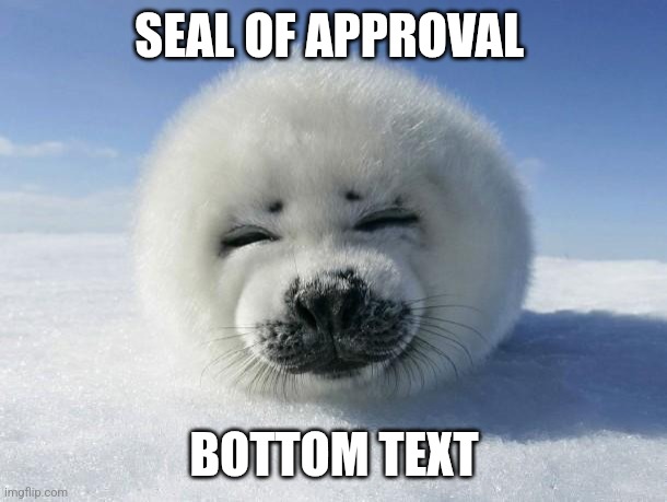 Seal Of Approval | SEAL OF APPROVAL BOTTOM TEXT | image tagged in seal of approval | made w/ Imgflip meme maker