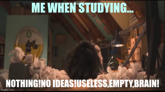 NOTHING!NO IDEAS!USELESS,EMPTY,BRAIN! | ME WHEN STUDYING... | image tagged in nothing no ideas useless empty brain | made w/ Imgflip meme maker