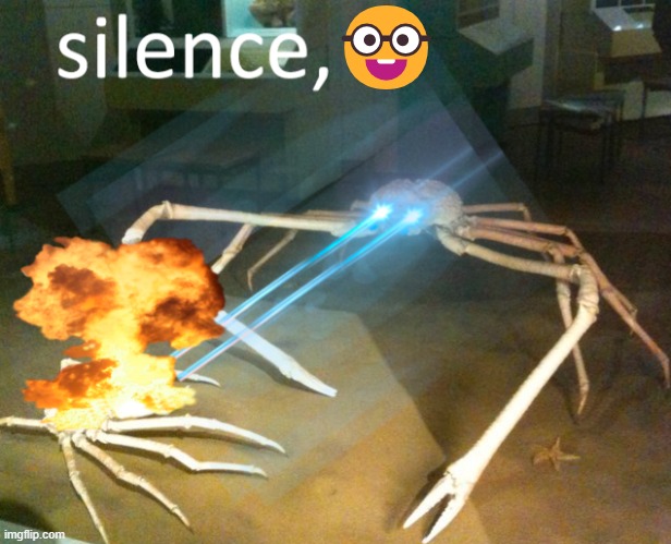 Silence Crab | ? | image tagged in silence crab | made w/ Imgflip meme maker