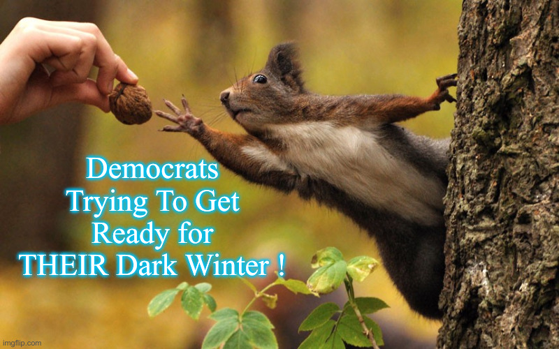 I Don't Think They're Going To Make It ! | Democrats Trying To Get Ready for THEIR Dark Winter ! | image tagged in squirrel reaching for nut,political meme,politics,funny memes,funny | made w/ Imgflip meme maker