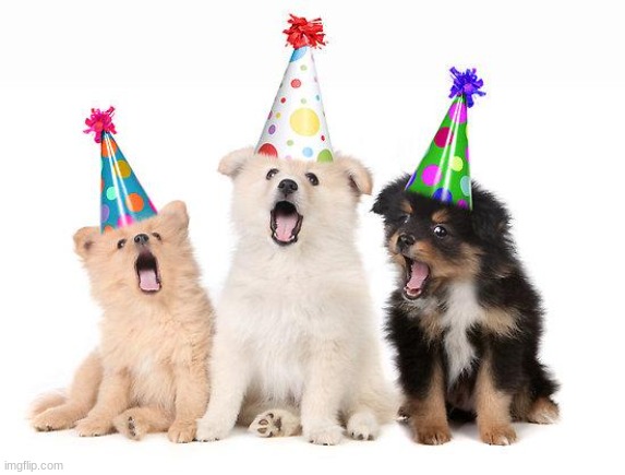 image tagged in happy birthday puppies | made w/ Imgflip meme maker