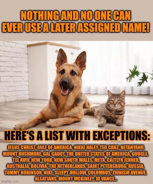 This #lolcat wonders why conservatives are against using later assigned names. Ánd are not. | NOTHING AND NO ONE CAN EVER USE A LATER ASSIGNED NAME! HERE'S A LIST WITH EXCEPTIONS:; JESUS CHRIST, GULF OF AMERICA, NIKKI HALEY, TED CRUZ, NETANYAHU,
MOUNT RUSHMORE, GAL GADOT, THE UNITED STATES OF AMERICA, GOOGLE, 
TEL AVIV, NEW YORK, NEW SOUTH WALES, META, CAITLYN JENNER,
AUSTRALIA, BOLIVIA, THE NETHERLANDS, SAINT PETERSBURG, RUSSIA, 
TOMMY ROBINSON, NIKE, SLEEPY HOLLOW, COLUMBUS, ZIONISM AVENUE, 
ALSATIANS, MOUNT MCKINLEY, JD VANCE... | image tagged in conservative hypocrisy,birth name,transgender,hypocrisy,lolcat | made w/ Imgflip meme maker