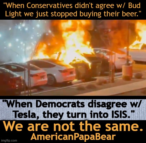 Violent destruction is never the way yet this has been a pattern of behavior | "When Conservatives didn't agree w/ Bud 
Light we just stopped buying their beer."; "When Democrats disagree w/ 
Tesla, they turn into ISIS."; We are not the same. AmericanPapaBear | image tagged in comparison,quote,reactions,violence is never the answer,we are not the same,liberals vs conservatives | made w/ Imgflip meme maker