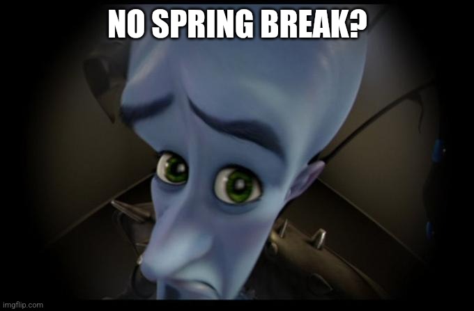 NO SPRING BREAK? | image tagged in no b es | made w/ Imgflip meme maker