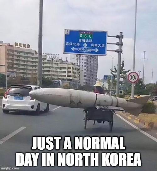 North Korea | JUST A NORMAL DAY IN NORTH KOREA | image tagged in dark humor | made w/ Imgflip meme maker