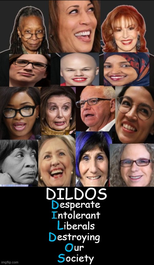 Funny Because It's True | DILDOS; D; Desperate
Intolerant
Liberals
Destroying 
Our 
Society; I; L; D; O; S | image tagged in liberals,destruction,society,intolerance,desperate,political humor | made w/ Imgflip meme maker