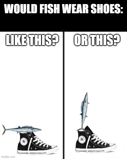 t chart | WOULD FISH WEAR SHOES: LIKE THIS?       OR THIS? | image tagged in t chart | made w/ Imgflip meme maker