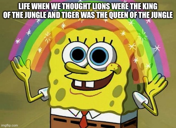 Those olden days | LIFE WHEN WE THOUGHT LIONS WERE THE KING OF THE JUNGLE AND TIGER WAS THE QUEEN OF THE JUNGLE | image tagged in memes,imagination spongebob | made w/ Imgflip meme maker