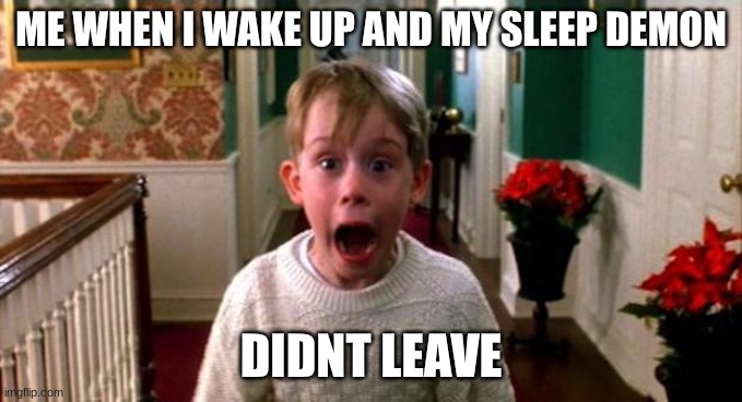 Kevin Home Alone | ME WHEN I WAKE UP AND MY SLEEP DEMON; DIDNT LEAVE | image tagged in kevin home alone | made w/ Imgflip meme maker