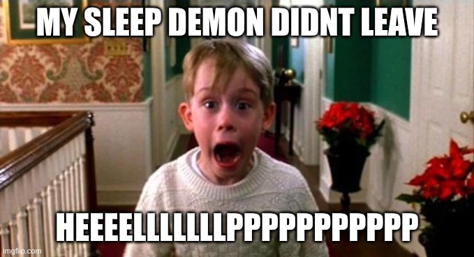 Kevin Home Alone | MY SLEEP DEMON DIDNT LEAVE; HEEEELLLLLLLPPPPPPPPPPP | image tagged in kevin home alone | made w/ Imgflip meme maker