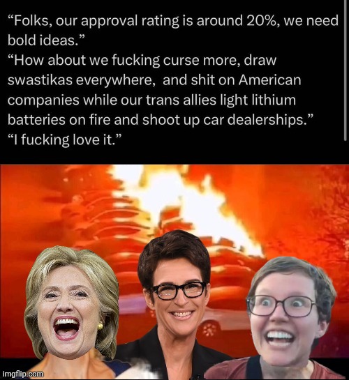 Liberals popularity plummets | image tagged in rachel maddow,hillary,stupid liberals,vandalism | made w/ Imgflip meme maker