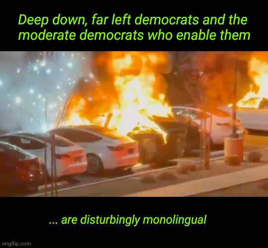 Deep down, far left democrats and the  moderate democrats who enable them | Deep down, far left democrats and the 
moderate democrats who enable them; ... are disturbingly monolingual | image tagged in violent protests,far left democrats,musk,tesla,doge | made w/ Imgflip meme maker