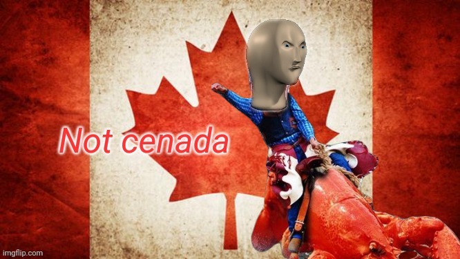 MEME TEMPLATE!!!! | image tagged in not cenada | made w/ Imgflip meme maker