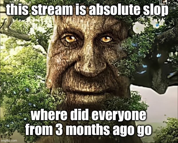 tree | this stream is absolute slop; where did everyone from 3 months ago go | image tagged in tree | made w/ Imgflip meme maker