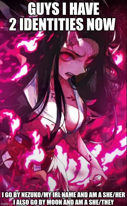 GUYS I HAVE 2 IDENTITIES NOW; I GO BY NEZUKO/MY IRL NAME AND AM A SHE/HER
I ALSO GO BY MOON AND AM A SHE/THEY | made w/ Imgflip meme maker