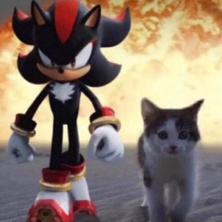 Shadow the Hedgehog ft. cat Blank Meme Template