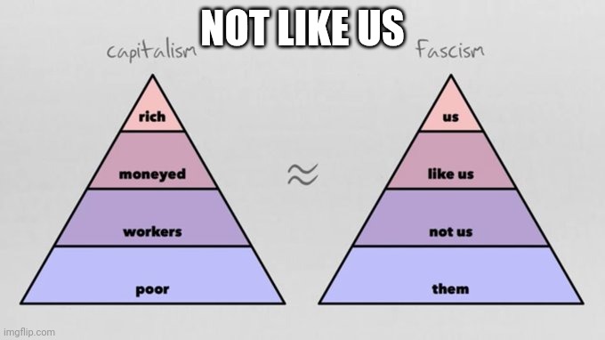 Not like us | NOT LIKE US | image tagged in not like us | made w/ Imgflip meme maker