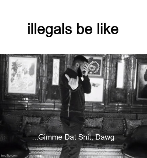 welfare | illegals be like | image tagged in gimme dat shit dawg | made w/ Imgflip meme maker