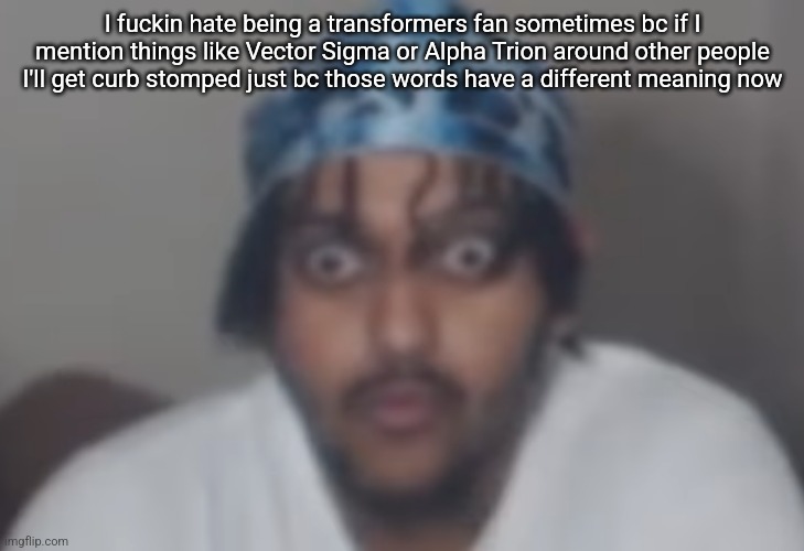 Omegle victim 1 | I fuckin hate being a transformers fan sometimes bc if I mention things like Vector Sigma or Alpha Trion around other people I'll get curb stomped just bc those words have a different meaning now | image tagged in omegle victim 1 | made w/ Imgflip meme maker