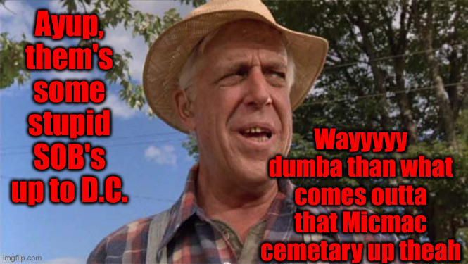 Ayup, Dimmocrats Ate Dogs & Cats | Wayyyyy dumba than what comes outta that Micmac cemetary up theah; Ayup, them's some stupid SOB's up to D.C. | image tagged in fred gwynne pet sematary,political meme,politics,funny memes,funny | made w/ Imgflip meme maker