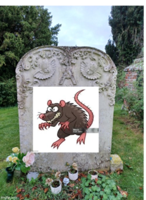 rip evil rat; died in the VERY EPIC VOTING GAME PART 8 | made w/ Imgflip meme maker