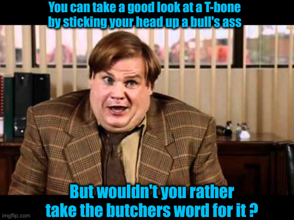 Democrats Would Never Hear This, Their Heads Are Always Up A Bulls Ass | You can take a good look at a T-bone by sticking your head up a bull's ass; But wouldn't you rather take the butchers word for it ? | image tagged in tommy boy,political meme,politics,funny memes,funny | made w/ Imgflip meme maker