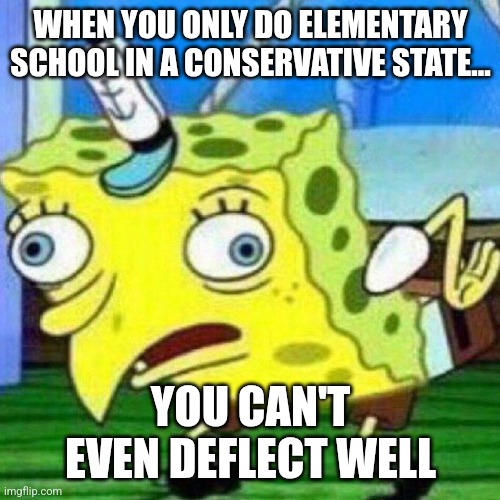 triggerpaul | WHEN YOU ONLY DO ELEMENTARY SCHOOL IN A CONSERVATIVE STATE... YOU CAN'T EVEN DEFLECT WELL | image tagged in triggerpaul | made w/ Imgflip meme maker