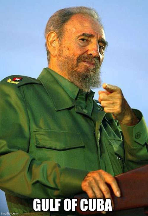 Fidel Castro | GULF OF CUBA | image tagged in fidel castro | made w/ Imgflip meme maker