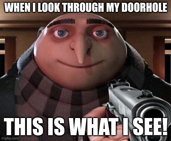 Doors | WHEN I LOOK THROUGH MY DOORHOLE; THIS IS WHAT I SEE! | image tagged in gru gun,door | made w/ Imgflip meme maker