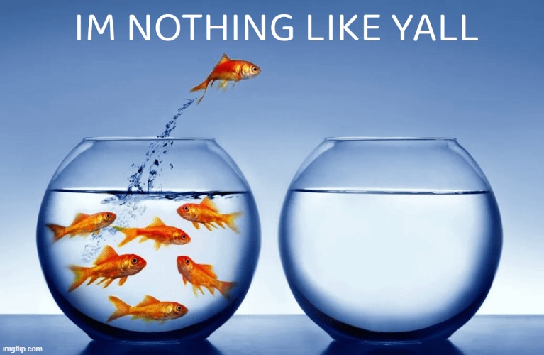 i dont want mod status | image tagged in i m nothin like yall | made w/ Imgflip meme maker