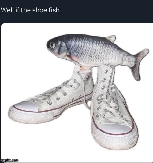 . | image tagged in shoe fish | made w/ Imgflip meme maker