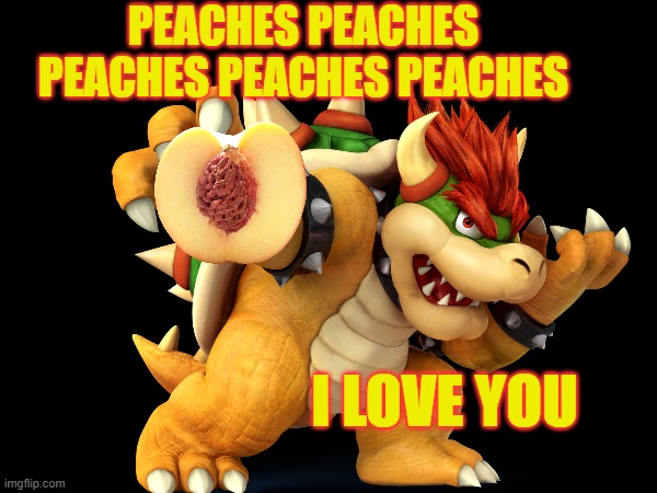 Bowser Jam | PEACHES PEACHES PEACHES PEACHES PEACHES; I LOVE YOU | image tagged in bowser,peaches,peach,mario | made w/ Imgflip meme maker