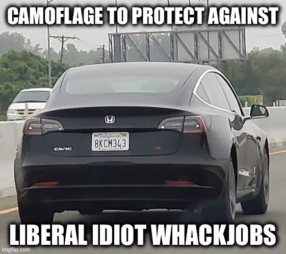 CAMOFLAGE TO PROTECT AGAINST; LIBERAL IDIOT WHACKJOBS | image tagged in tesla,stupid liberals,elon musk | made w/ Imgflip meme maker