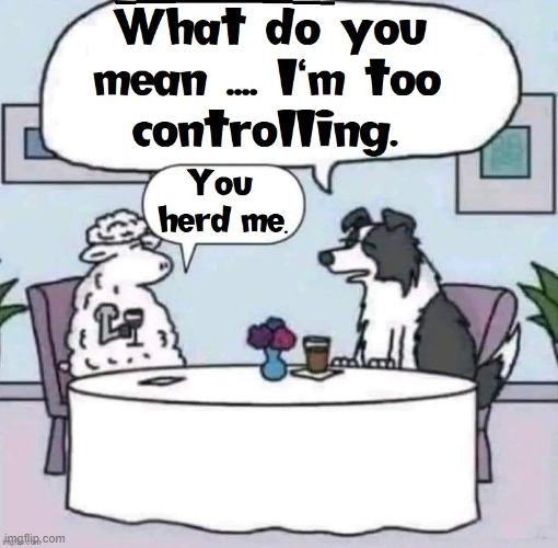 Ewe Clever Sheep, Ewe | image tagged in vince vance,sheep,sheep dog,herd,controlling,cartoon | made w/ Imgflip meme maker