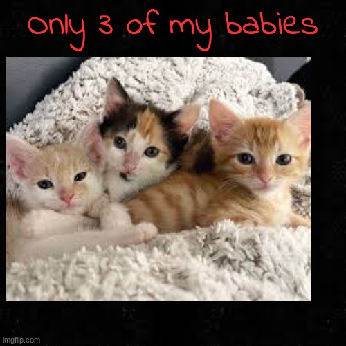 Black screen | Only 3 of my babies | image tagged in black screen | made w/ Imgflip meme maker