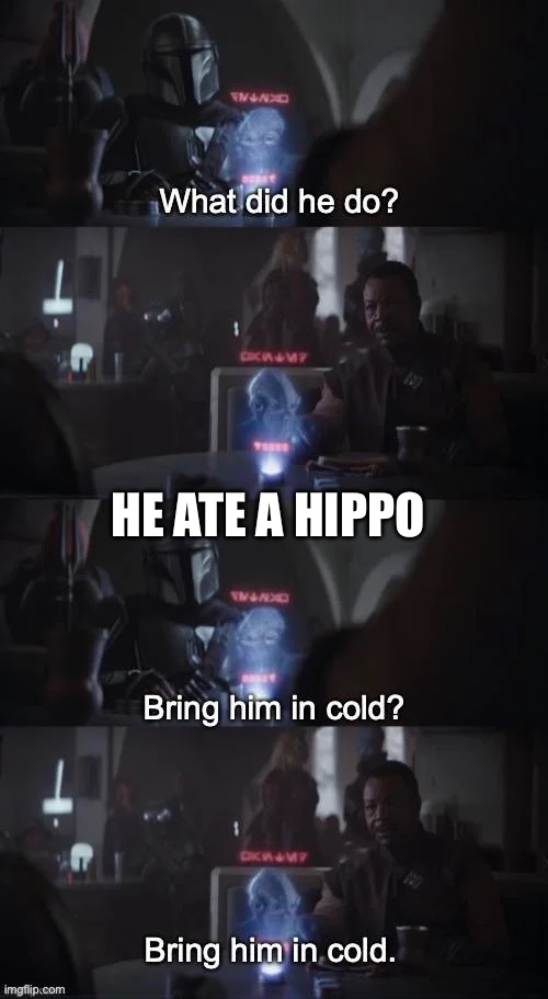 What did he do? | HE ATE A HIPPO | image tagged in what did he do | made w/ Imgflip meme maker