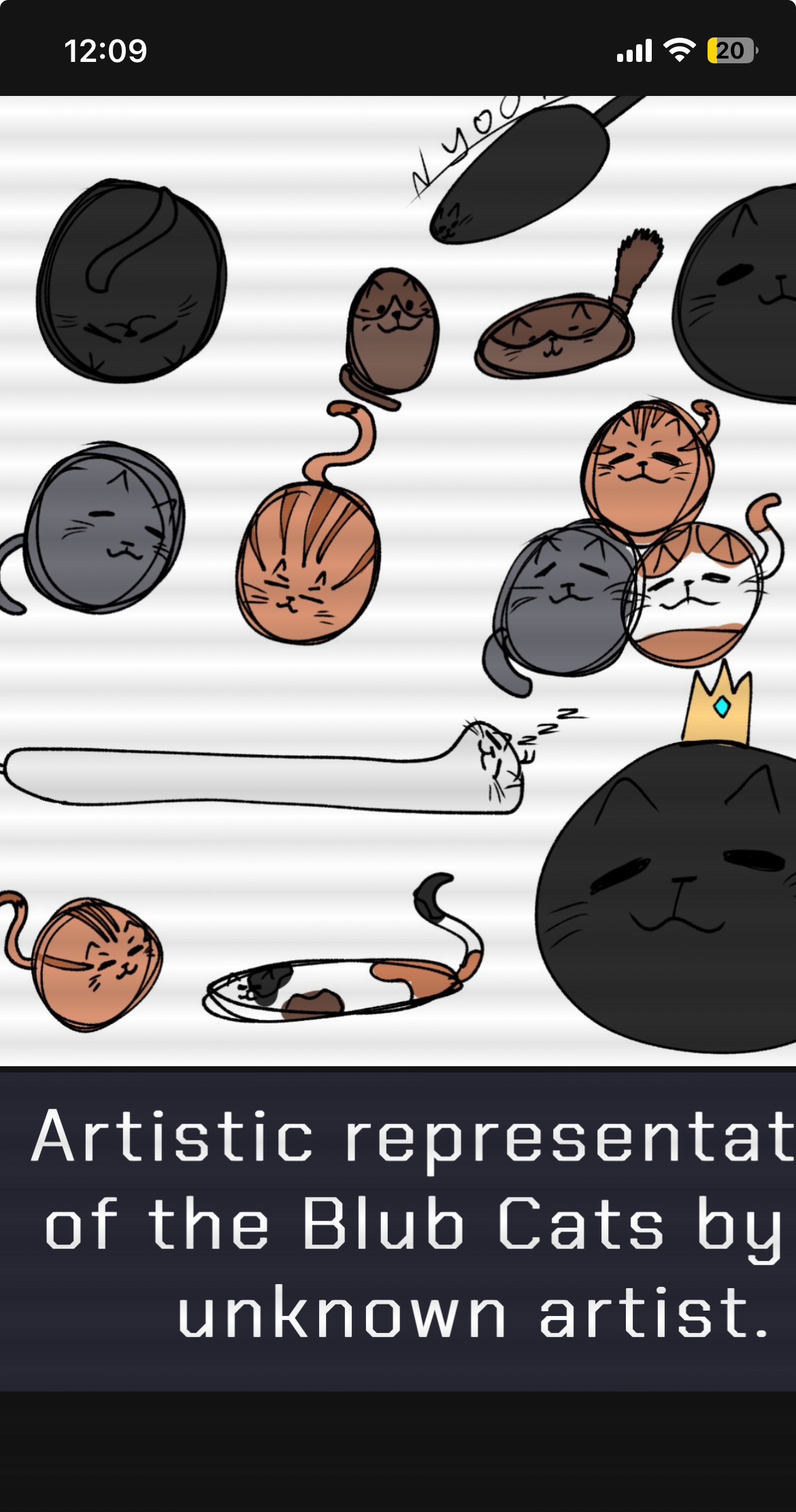 Blub cats Blank Meme Template