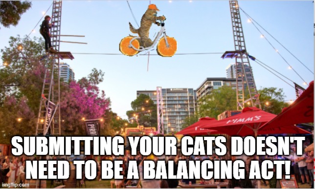 cats timesheet reminder | SUBMITTING YOUR CATS DOESN'T NEED TO BE A BALANCING ACT! | image tagged in timesheet reminder,cats reminder | made w/ Imgflip meme maker